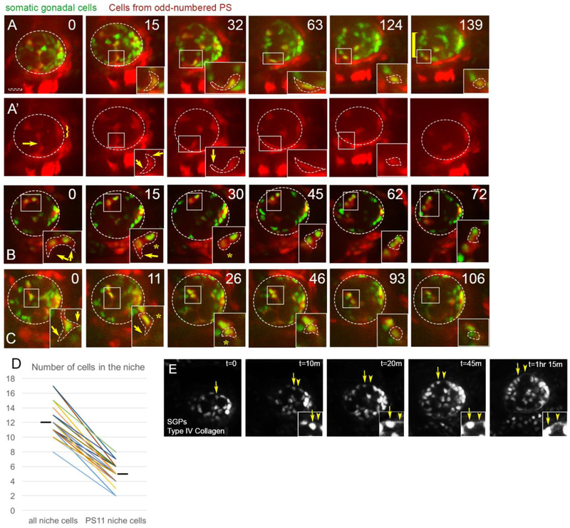 Figure 2: