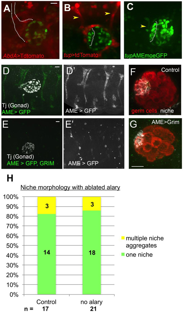 Figure 3: