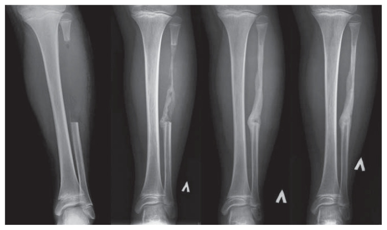 Figure 1: