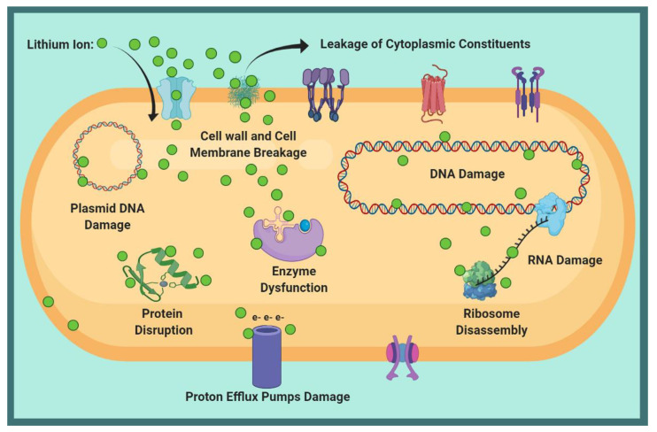 Figure 12