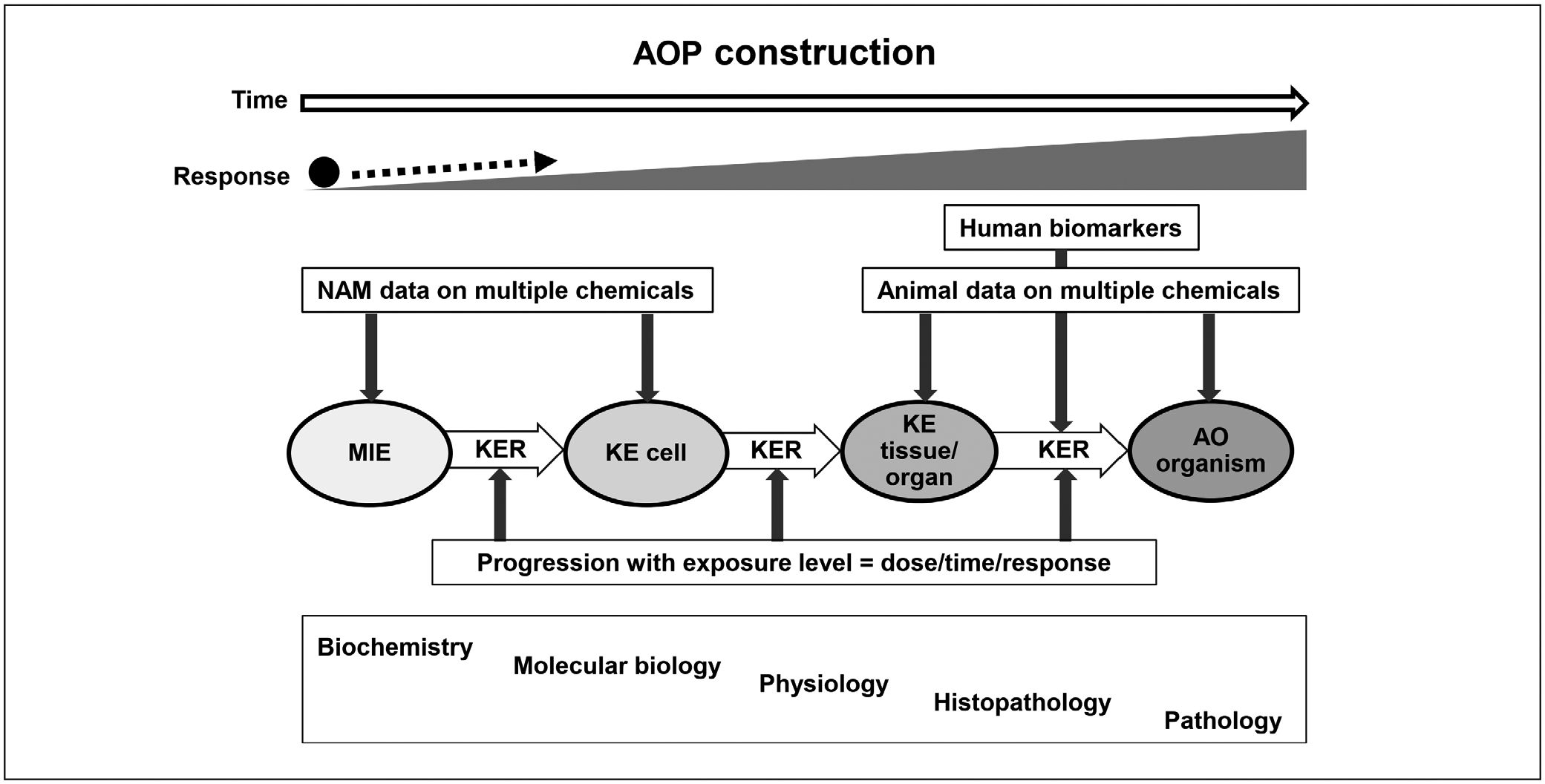 Fig. 4: