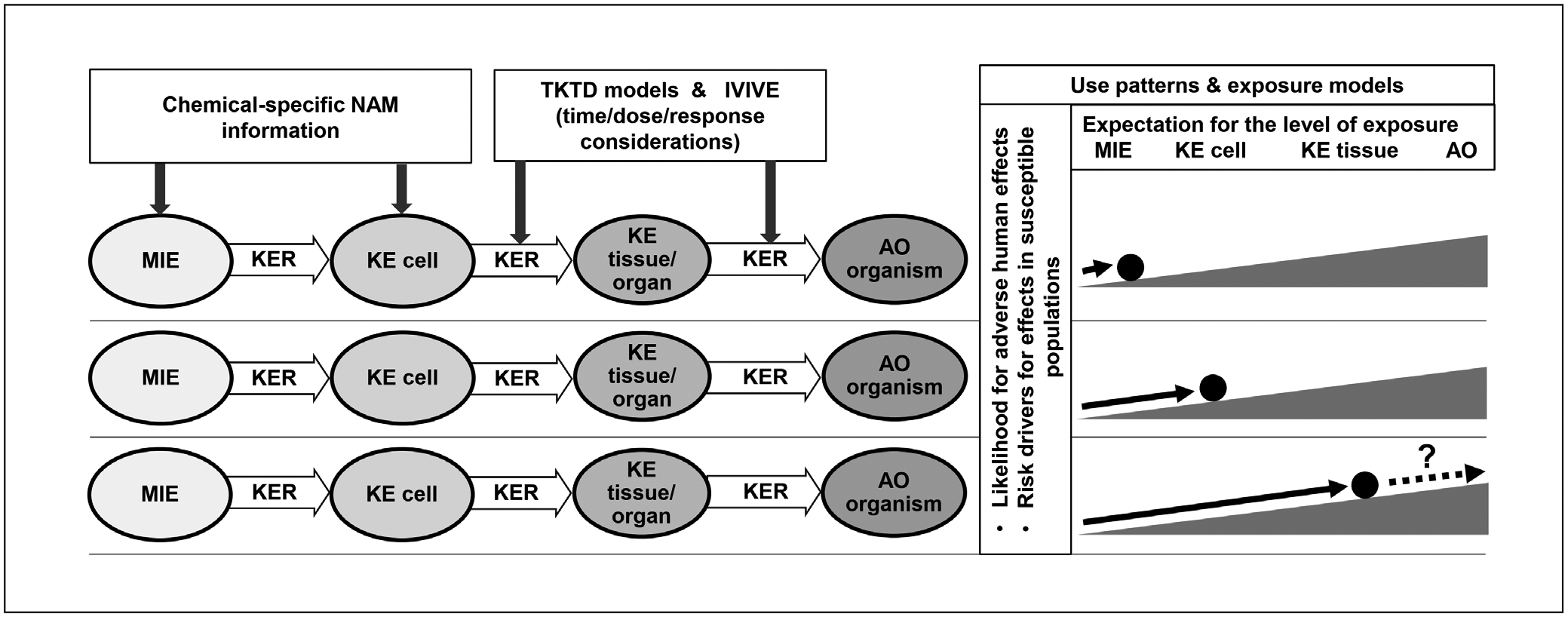 Fig. 5: