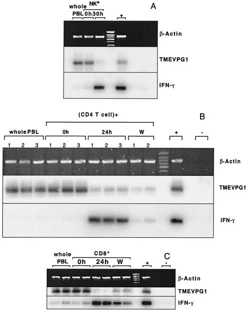 FIG. 7.