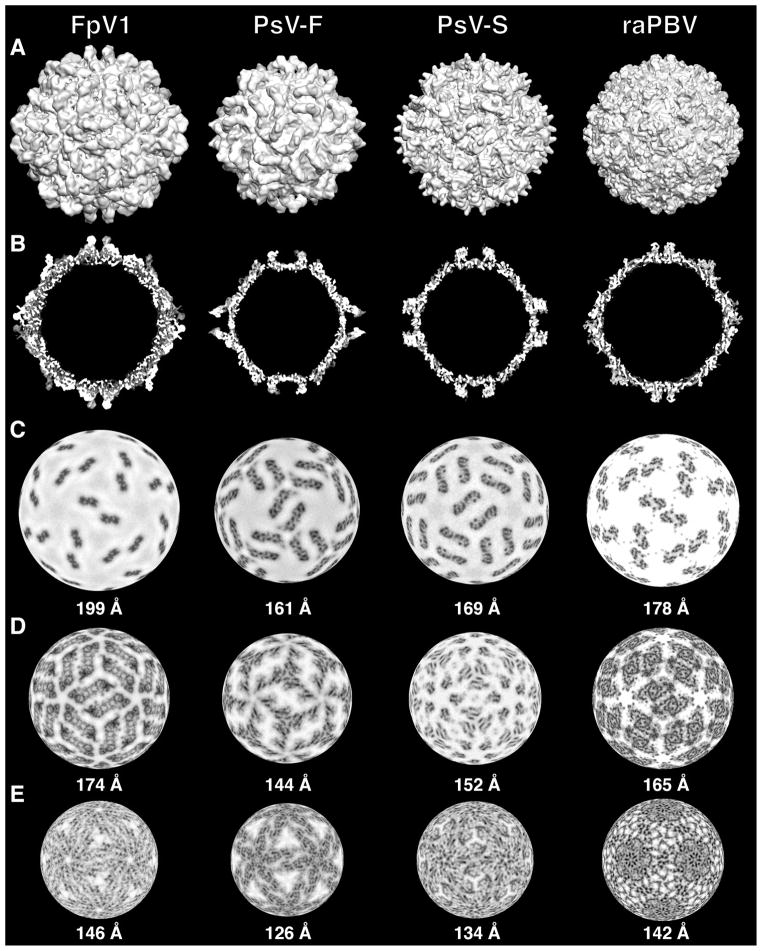 Fig. 5