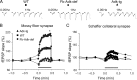 Figure 4.