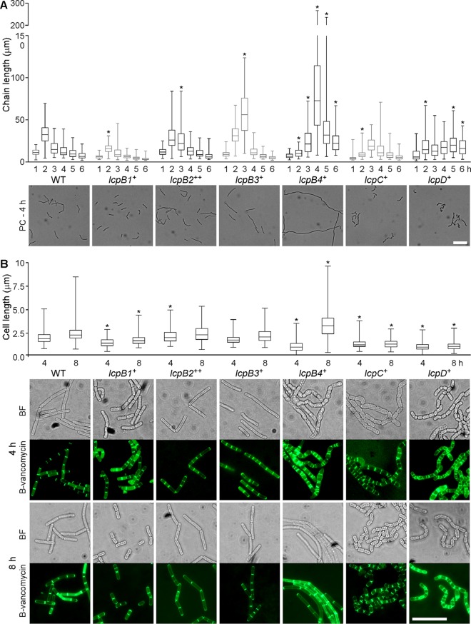 FIG 2