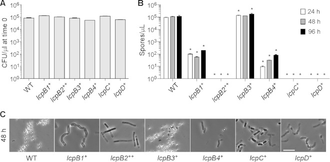 FIG 6