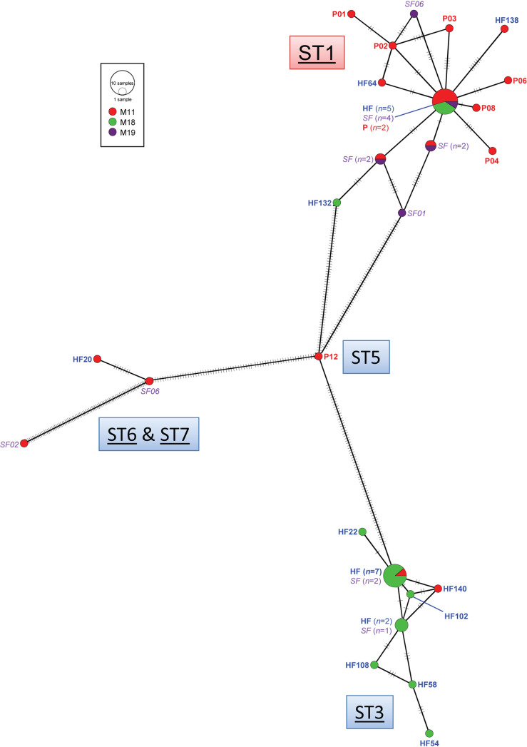 FIG 2