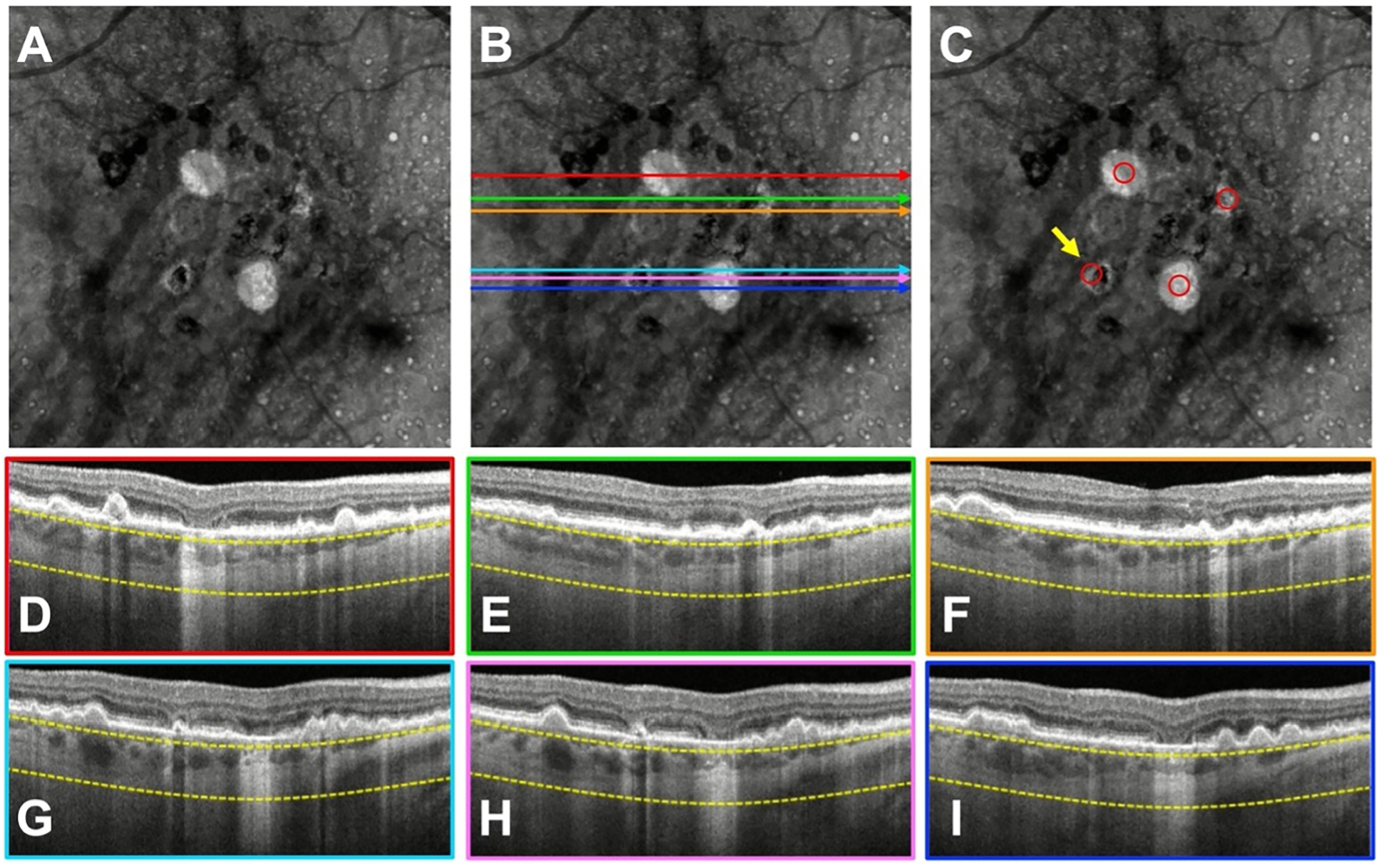 Figure 3.