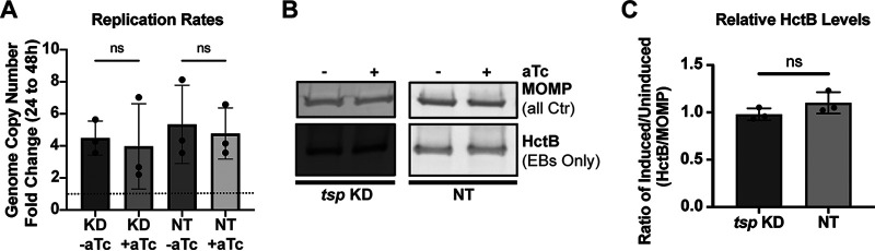 FIG 5