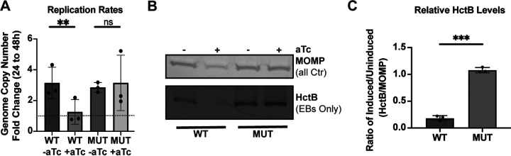 FIG 3