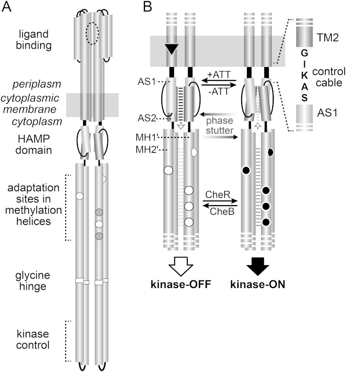 FIG 1