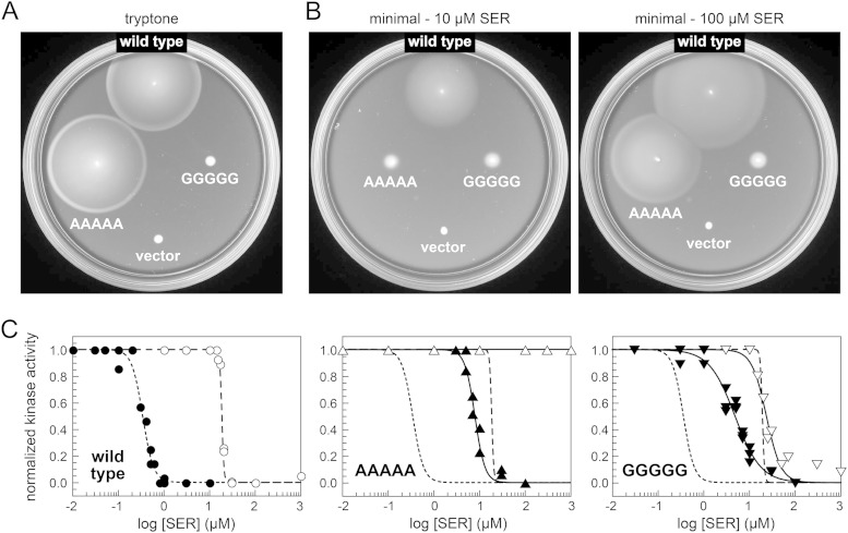 FIG 2