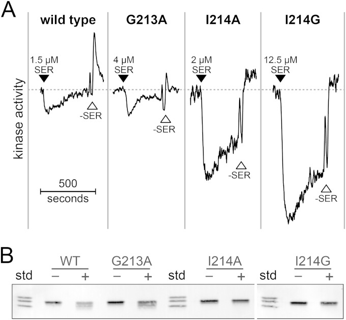 FIG 4