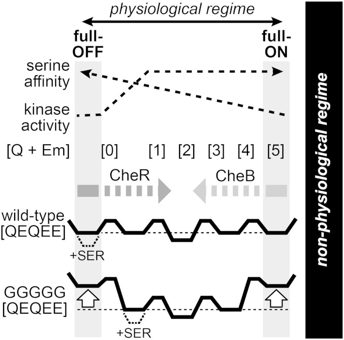 FIG 7