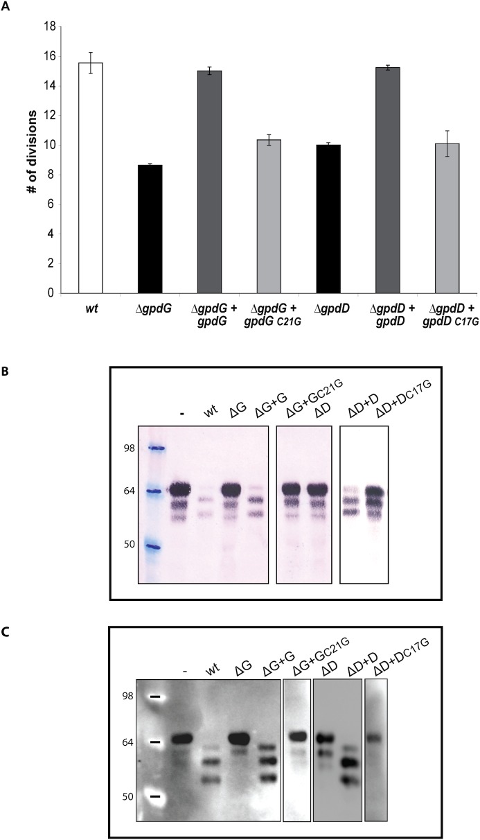 Fig 6