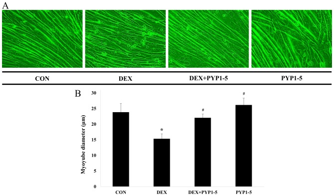 Figure 5.