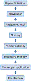 Fig 1: