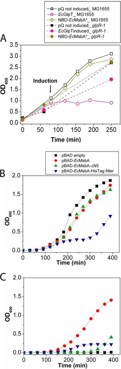 Fig. 7.