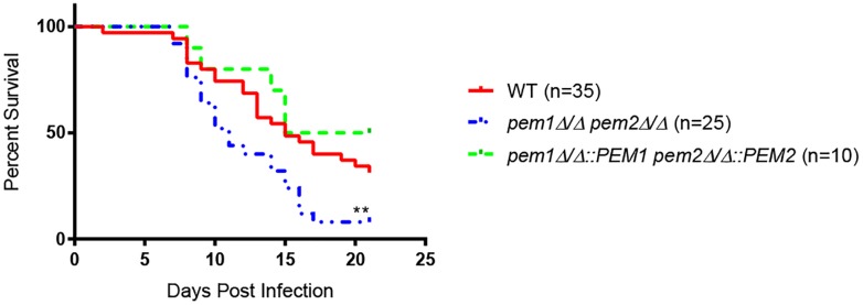 FIGURE 4