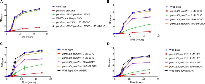 FIGURE 2