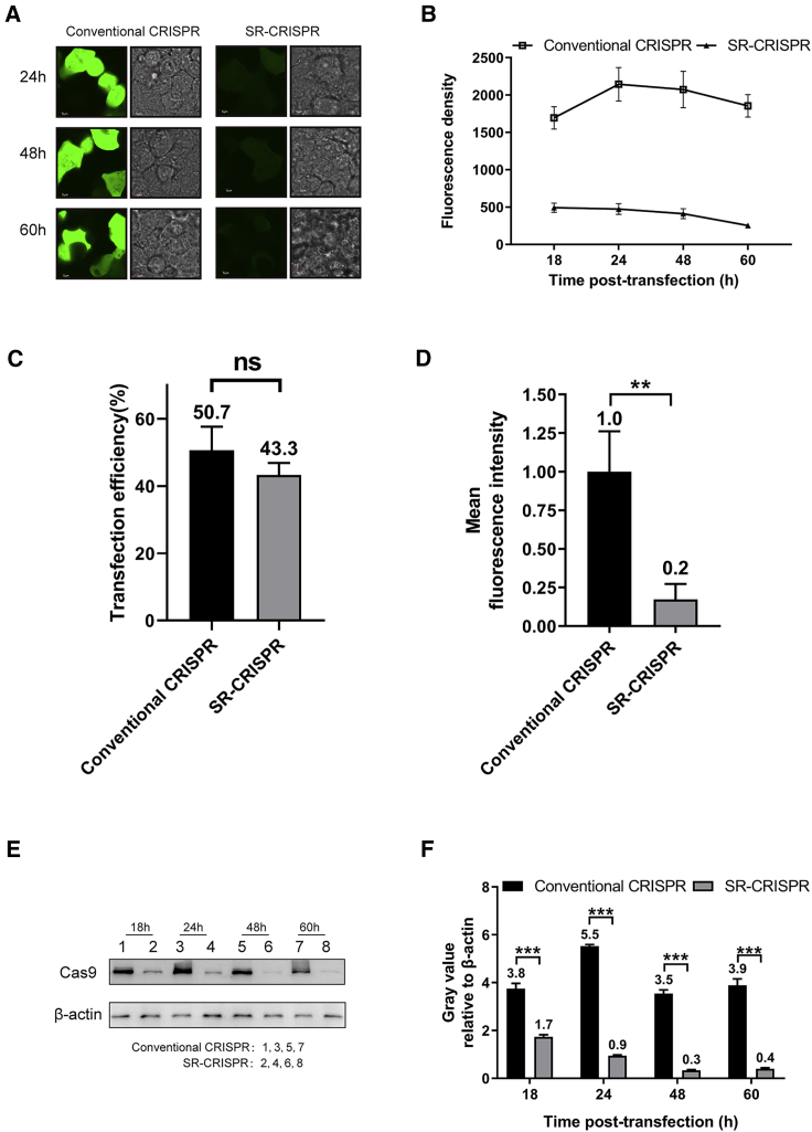 Figure 2