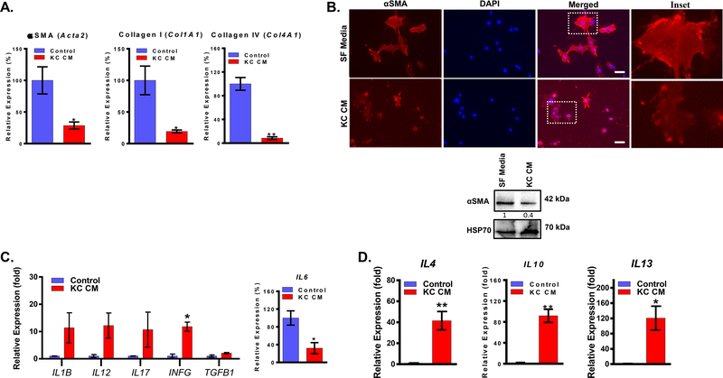 Figure 2: