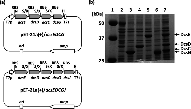 FIG 2