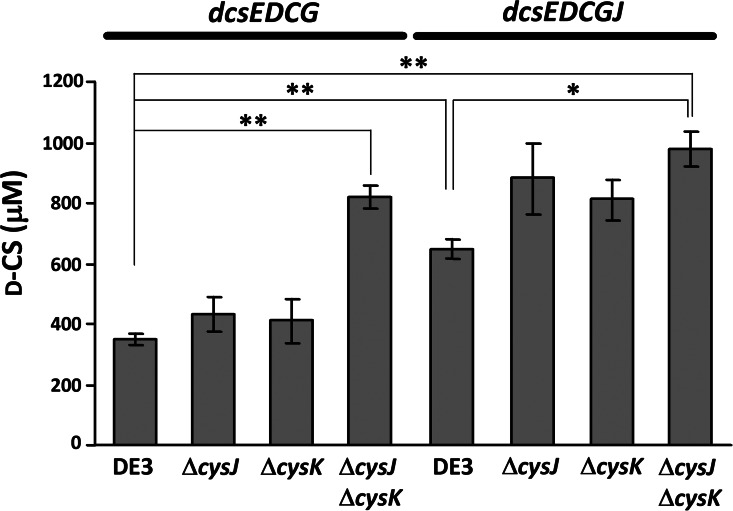 FIG 6