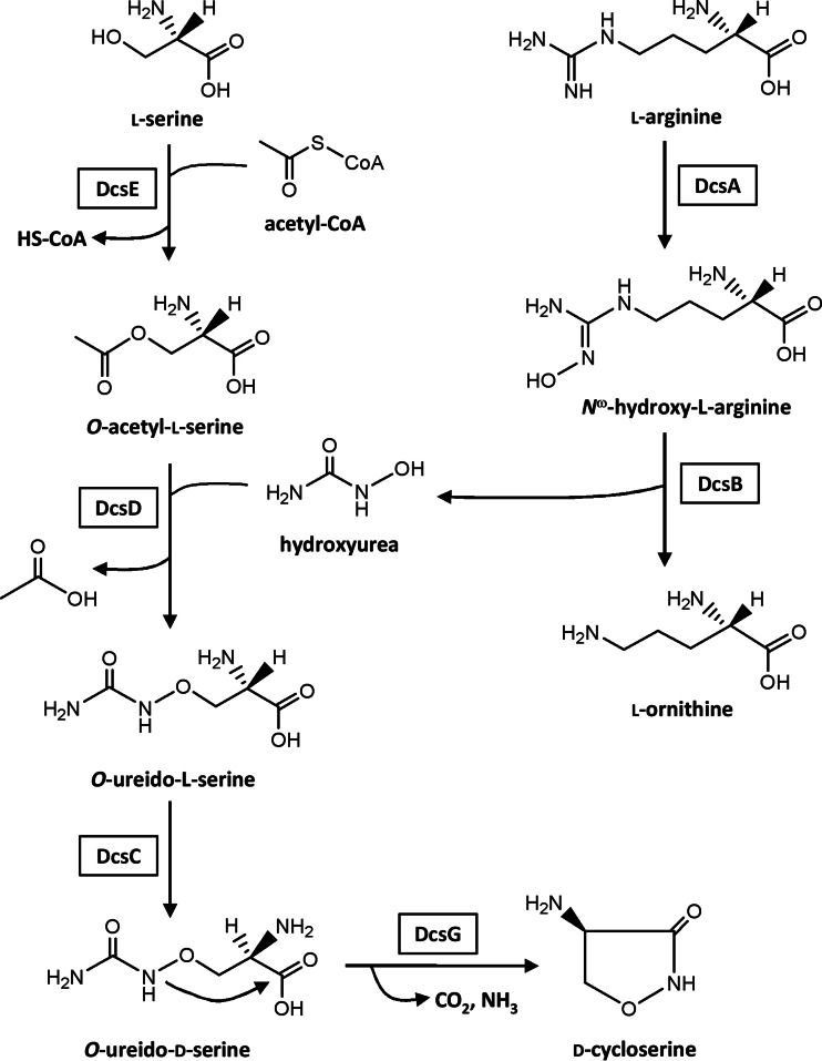 FIG 1