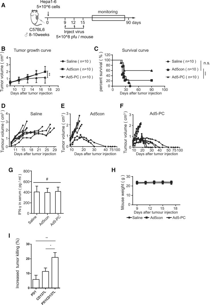 Figure 5