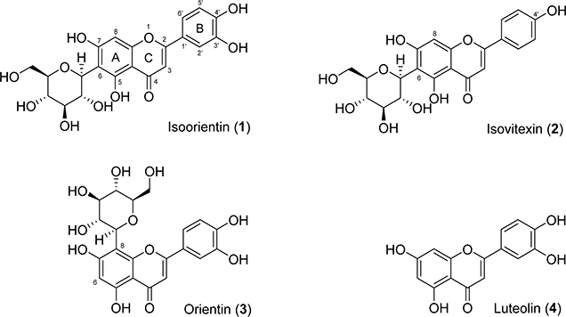 Figure 1.