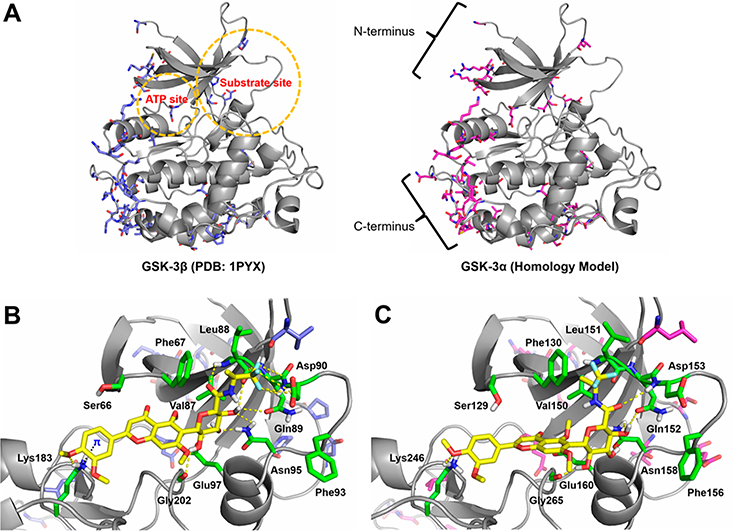 Figure 7.