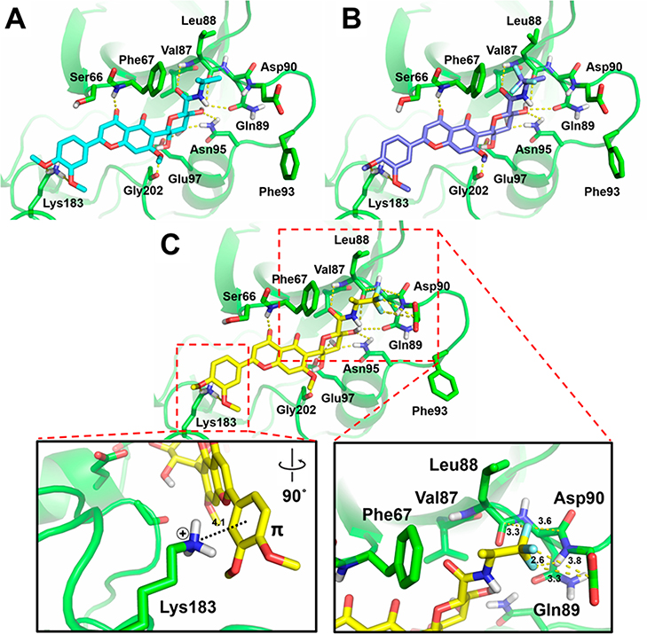 Figure 6.