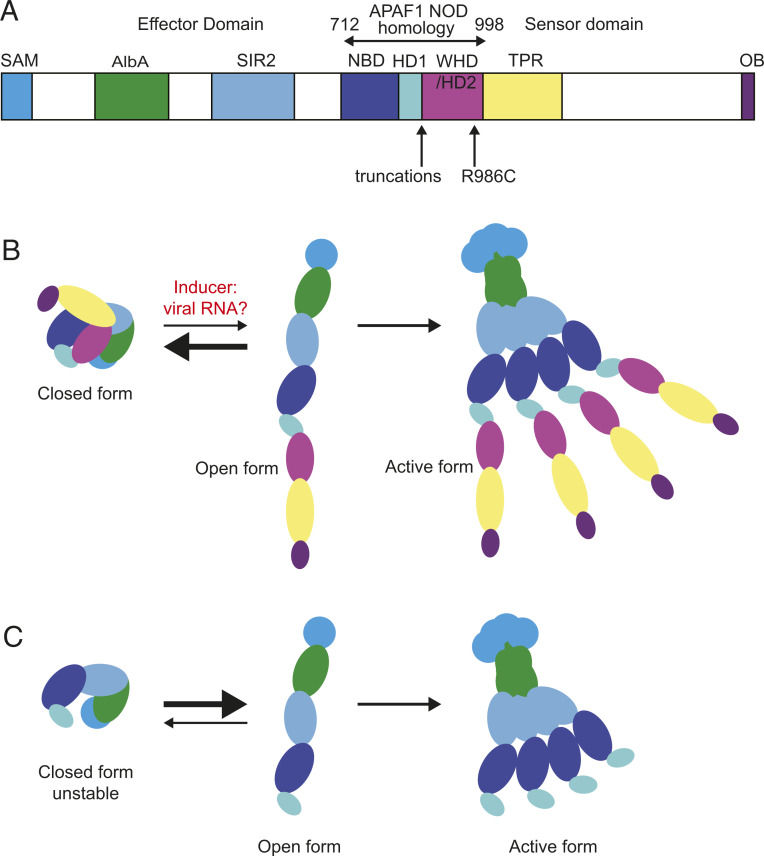 Fig. 6.