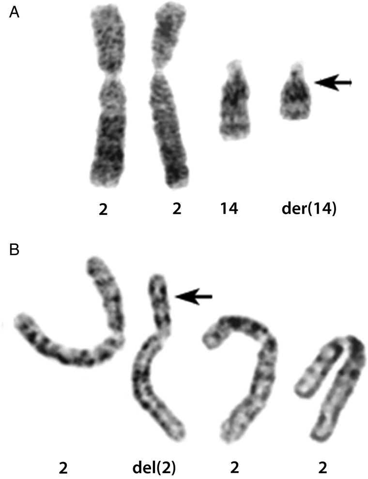 Fig. 1.