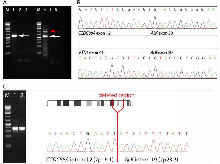 Fig. 2.