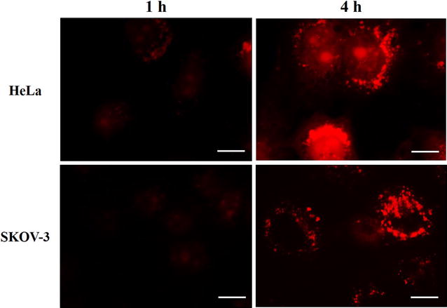 Fig. 12