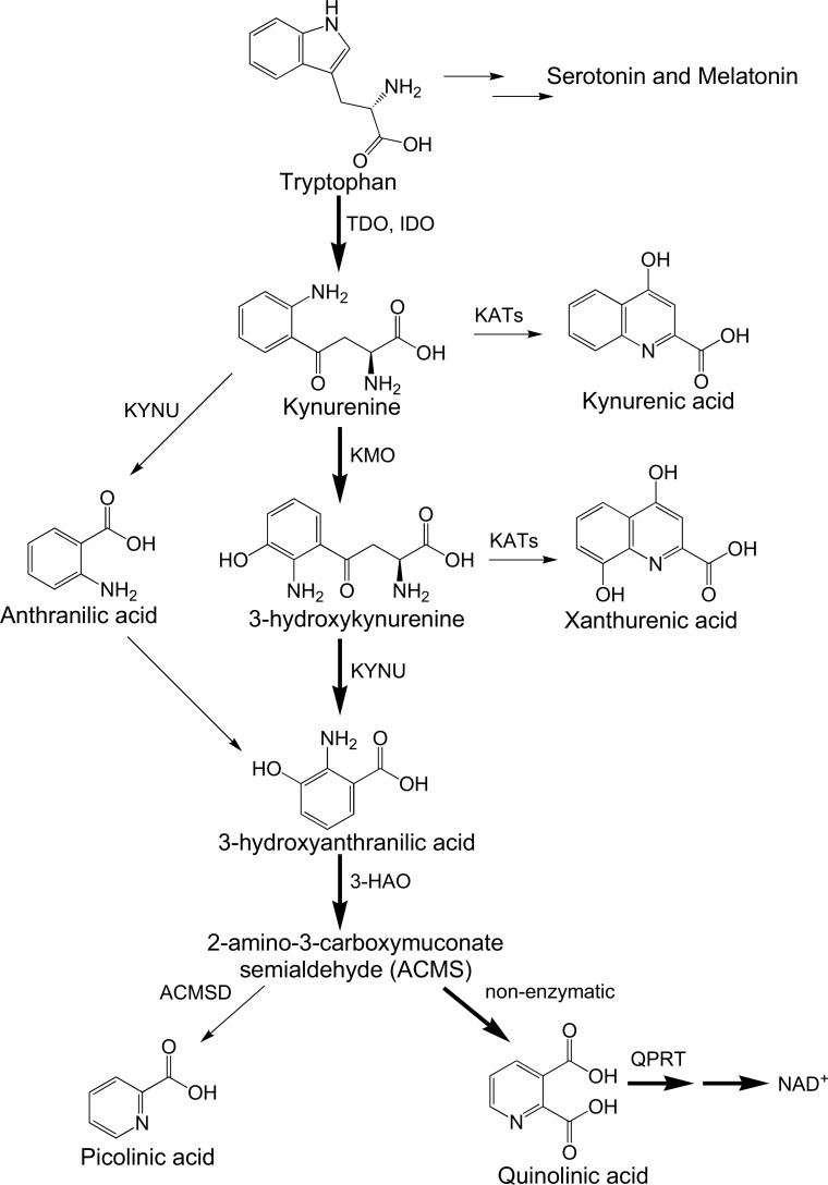 Fig. (1)