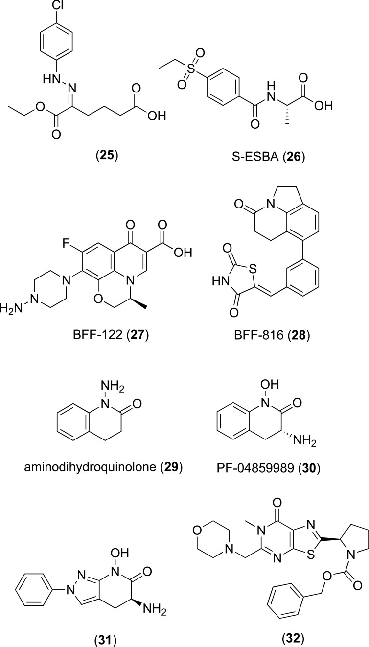 Fig. (5)