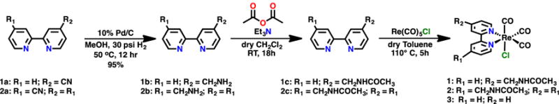 Scheme 1