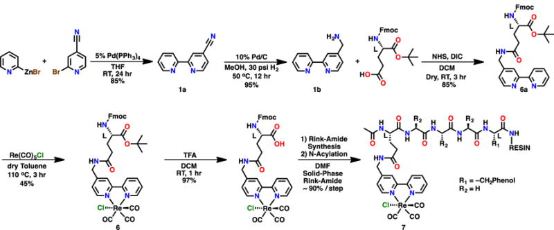 Scheme 4