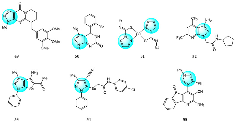 Figure 6