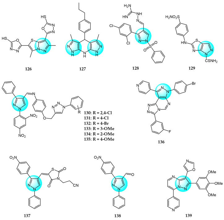 Figure 13