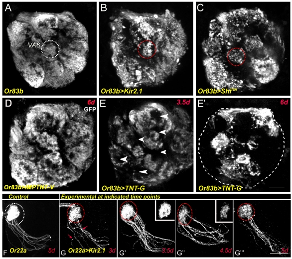 Fig. 3.