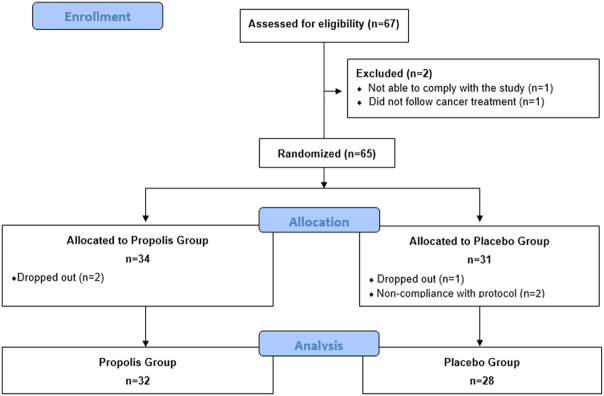 FIGURE 1