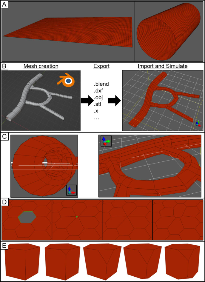 Figure 5