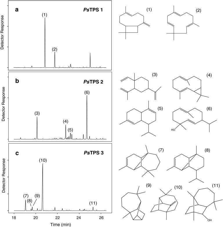 Fig. 2