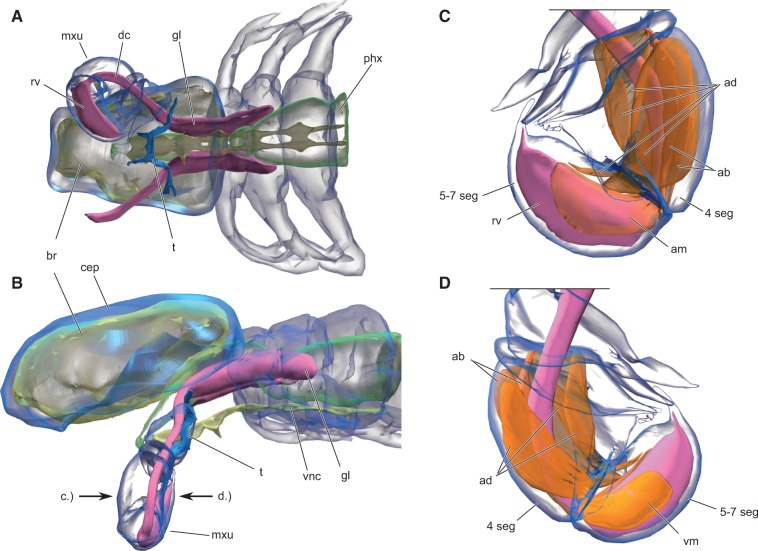 Fig. 1.