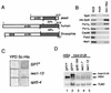 FIG. 6.